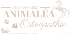 Logo Animalea - Léa Gonzalez, Ostéopathe animalier en Occitanie
